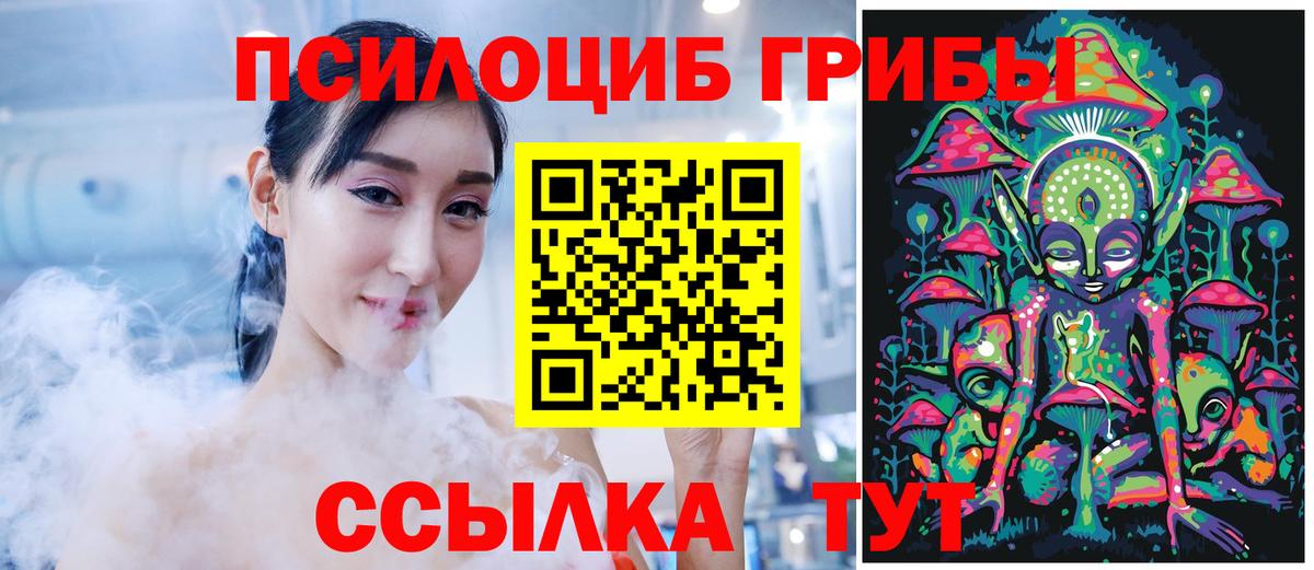 где можно купить   Вход с VPN  Тулун  Псилоцибиновые грибы мицелий 